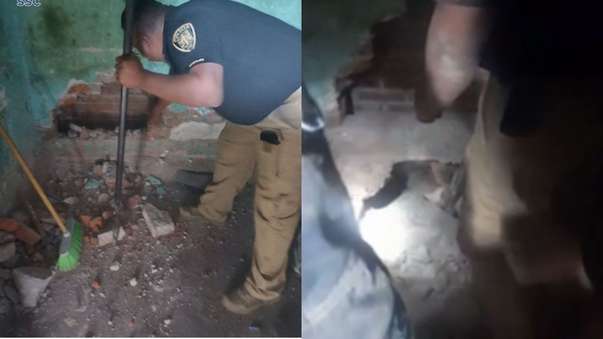 Policías rescatan a perrita atrapada entre dos bardas