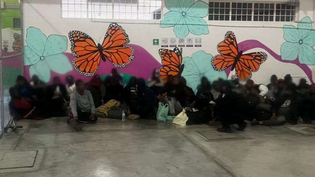 Encuentran a 102 migrantes africanos en Oaxaca; hay 3 presuntos traficantes detenidos. Noticias en tiempo real
