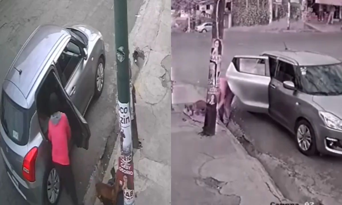 VIDEO: ¡Y con este frío! Mujer abandona a perrito en calles de Tlalpan