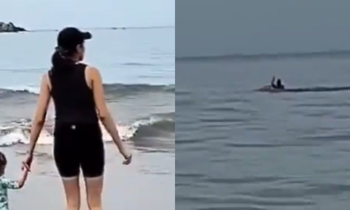 Difunden video del ataque de tiburón a turista en Zihuatanejo