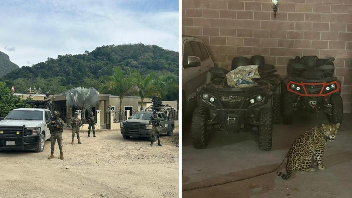 Fuerzas armadas realizaron un operativo en el poblado de "Las Naranjas", Jalisco, en el que aseguraron propiedades y animales exóticos