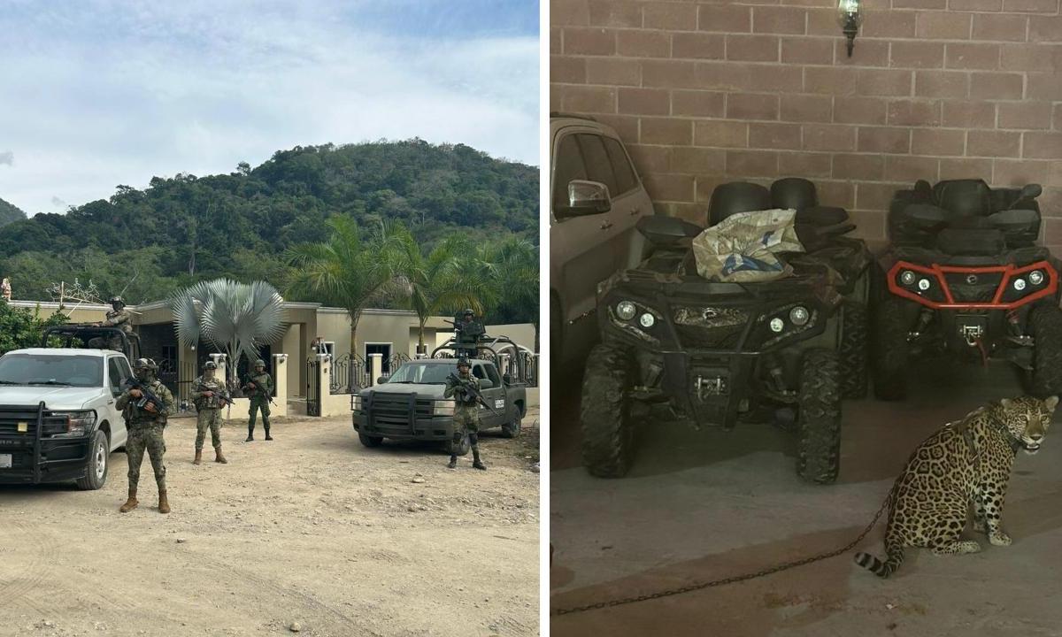 Fuerzas armadas realizaron un operativo en el poblado de "Las Naranjas", Jalisco, en el que aseguraron propiedades y animales exóticos