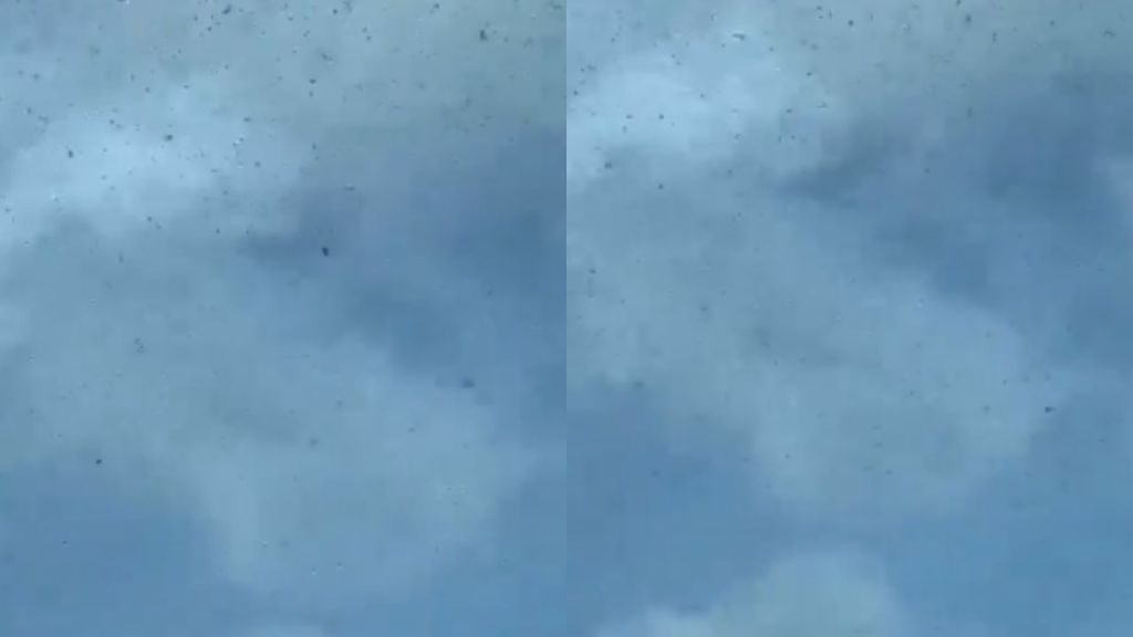 Foto:Captura de pantalla|VIDEO: ¡Qué onda! Reportan avistamiento de langostas en el cielo de Yucatán