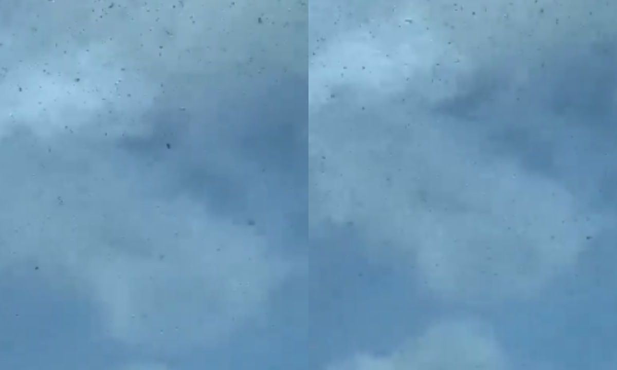 Foto:Captura de pantalla|VIDEO: ¡Qué onda! Reportan avistamiento de langostas en el cielo de Yucatán