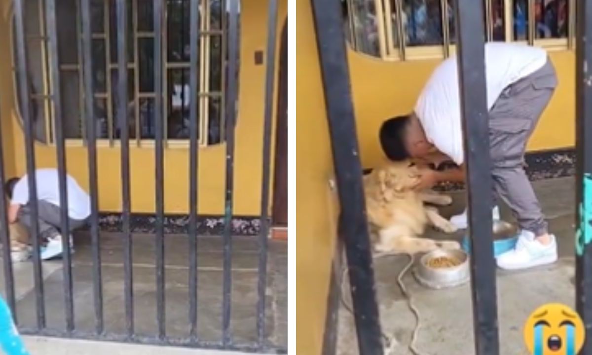 El jugador peruano, Piero Quispe, conmovió a las redes sociales al tener un momento emotivo junto a su perrito, de quien se despidió
