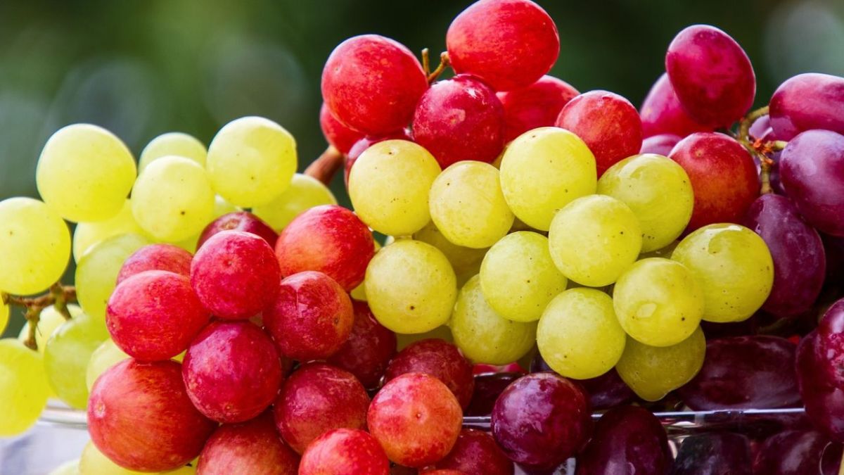 Foto:Pixabay|¿Qué es mejor comer uvas verdes o moradas?