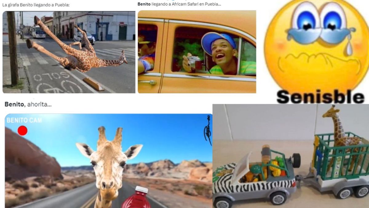 Foto:Redes sociales|Estos son los mejores memes de la jirafa Benito y su traslado a Africam Safari