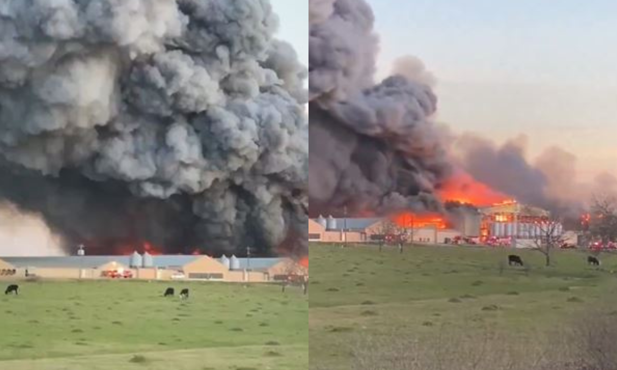 Incendio en granja de Texas