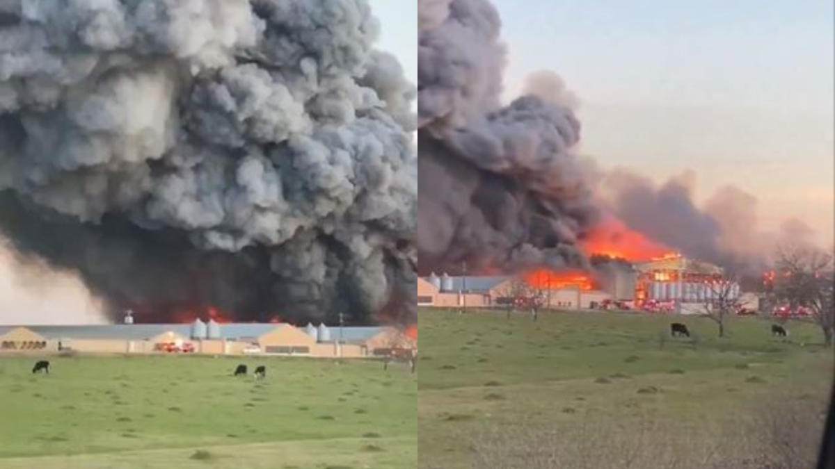 Incendio en granja de Texas