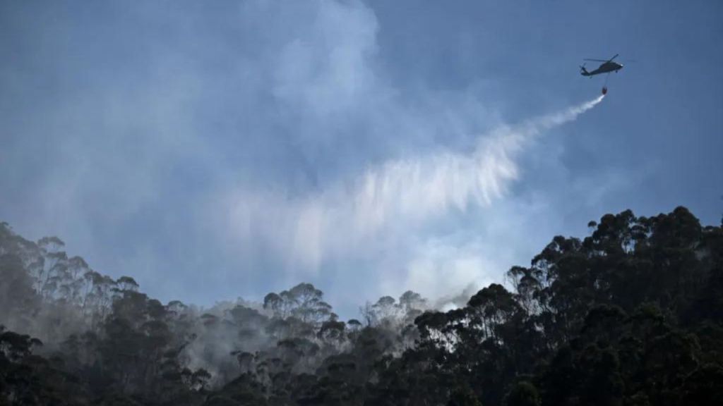 La autoridad climática Ideam tiene bajo alarma por incendio a 883 de los mil 101 municipios colombiano