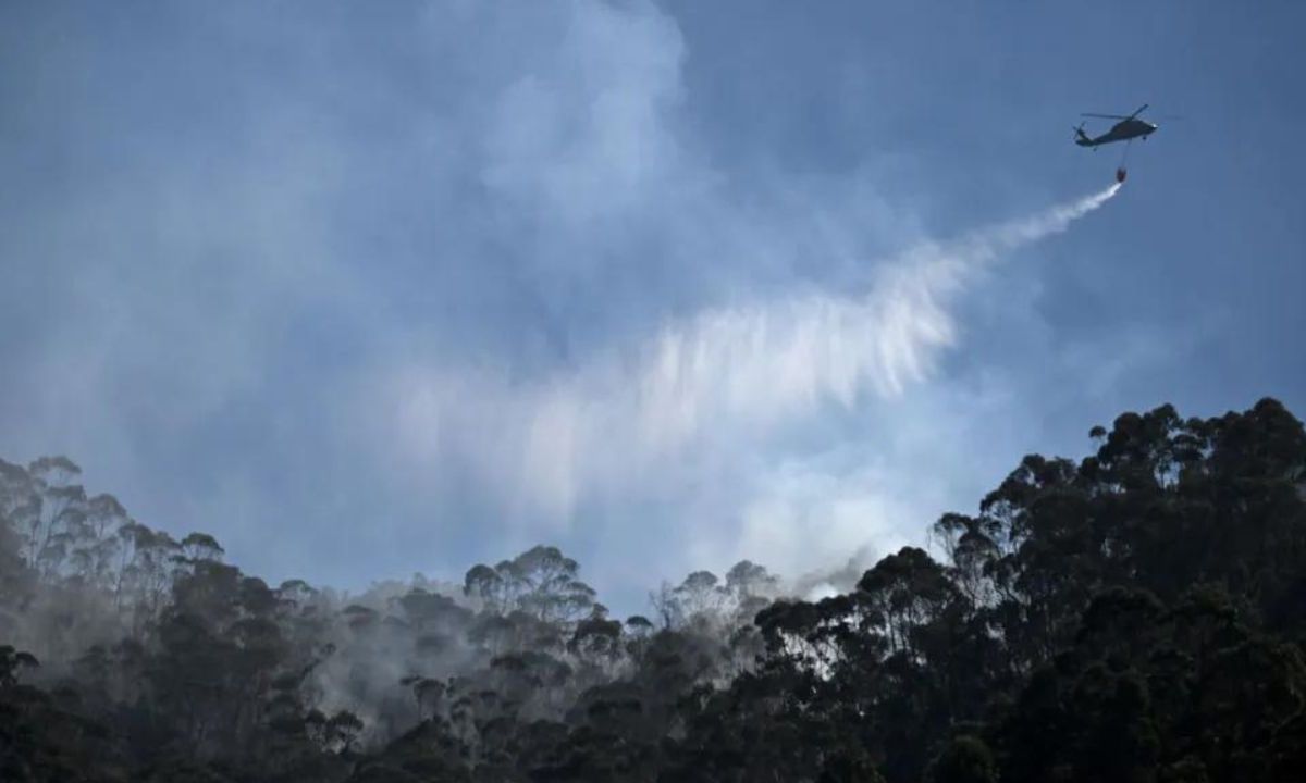 La autoridad climática Ideam tiene bajo alarma por incendio a 883 de los mil 101 municipios colombiano