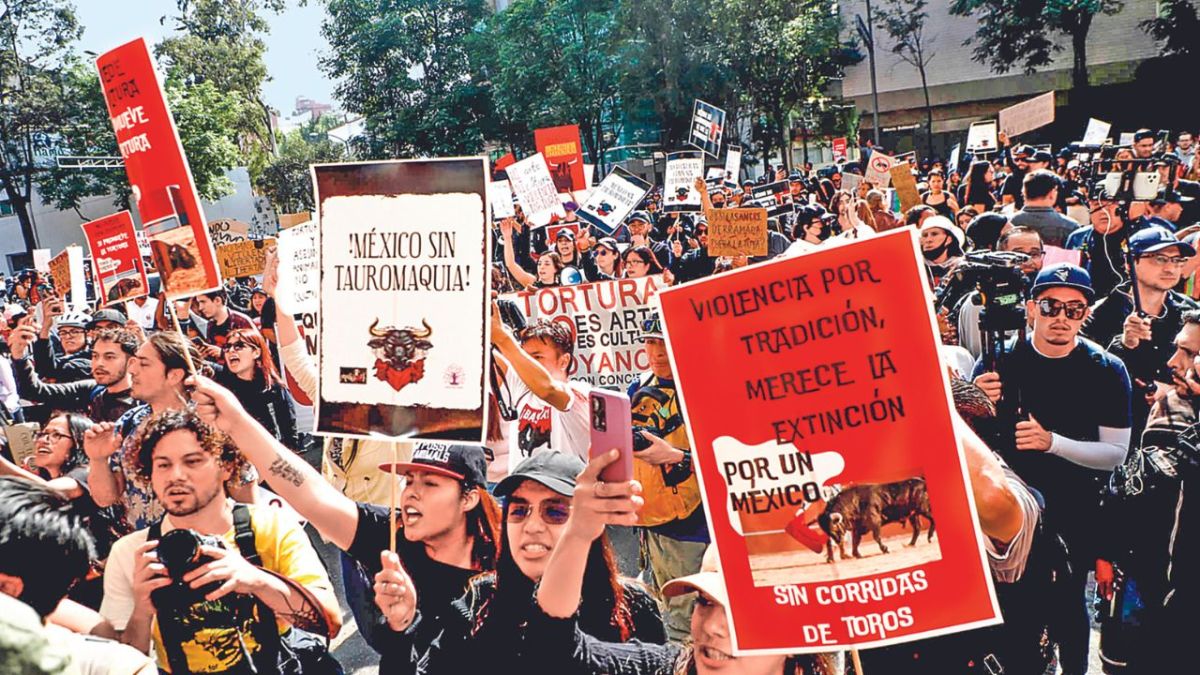 Demanda. Grupos en favor de los animales y organizaciones antitaurinas se manifestaron frente al domo de Insurgentes para exigir que se prohíban las corridas de toros.