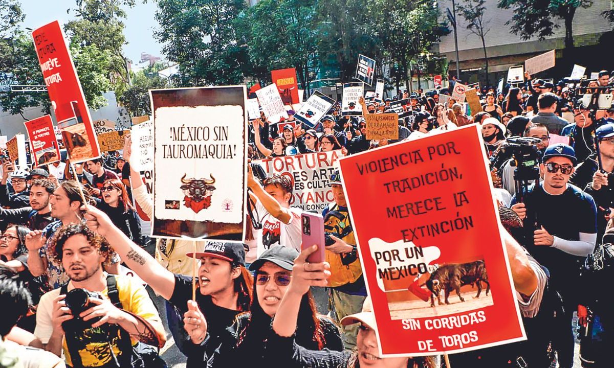 Demanda. Grupos en favor de los animales y organizaciones antitaurinas se manifestaron frente al domo de Insurgentes para exigir que se prohíban las corridas de toros.