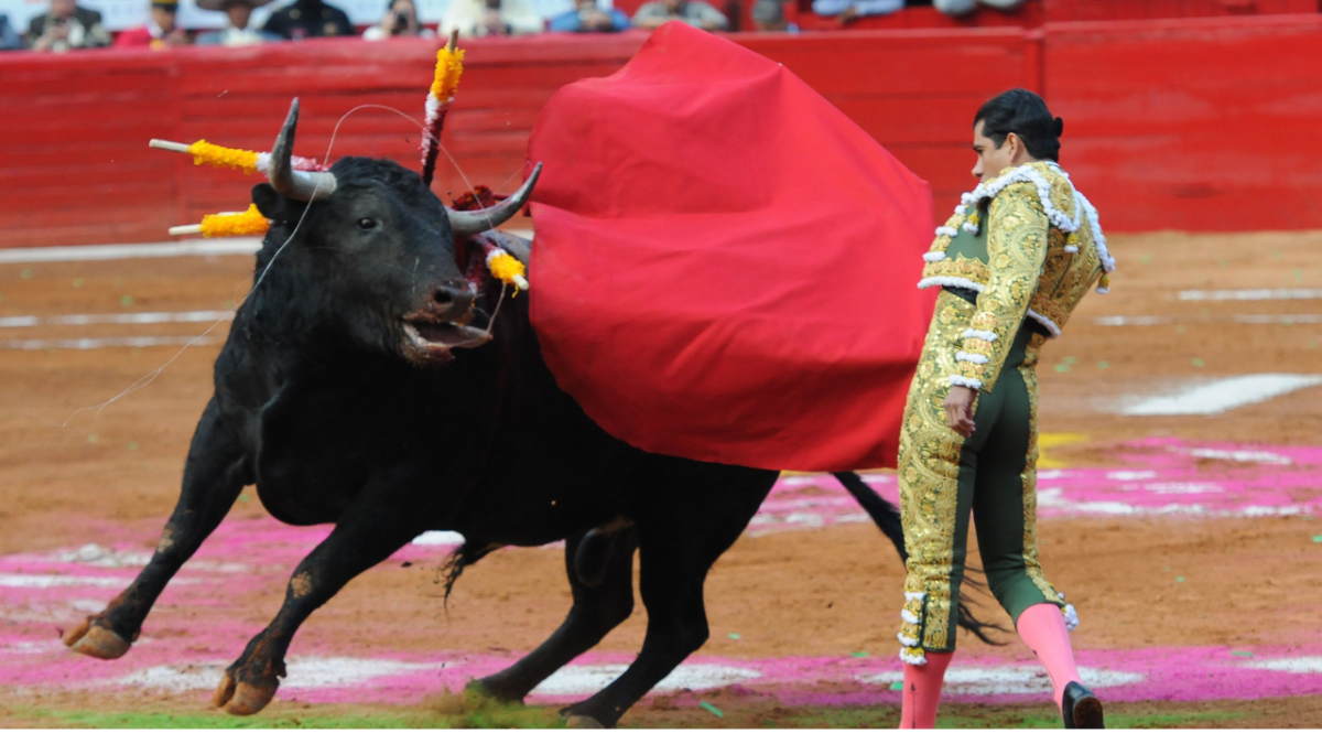 Por tercera ocasión suspenden corridas de toros en la Plaza México
