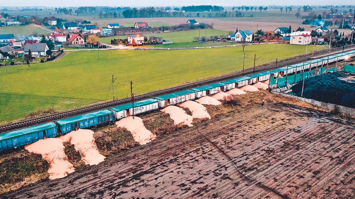 DESPERDICIO. Montones de maíz presuntamente exportados de Ucrania fueron tirados en el pueblo de Kotomierz, región de Cuyavia y Pomerania.