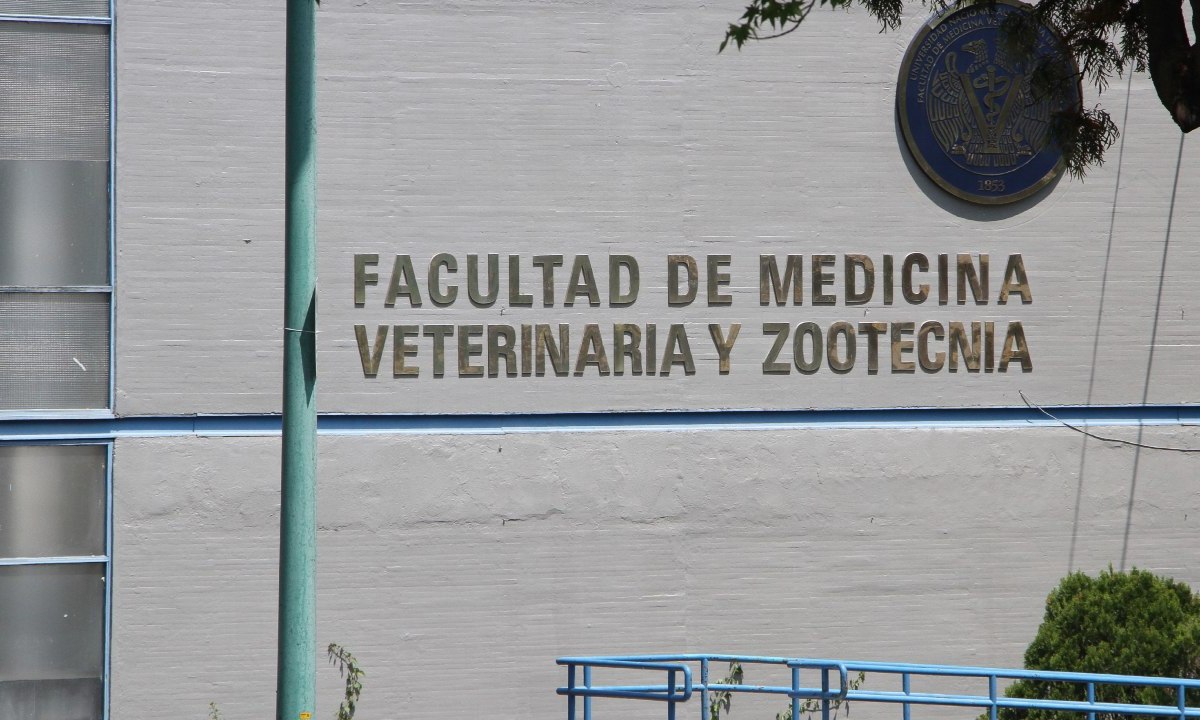 La UNAM reiteró que la Facultad de Medicina y sus estados financieros nada tienen que ver con las investigaciones que realiza la UIF.