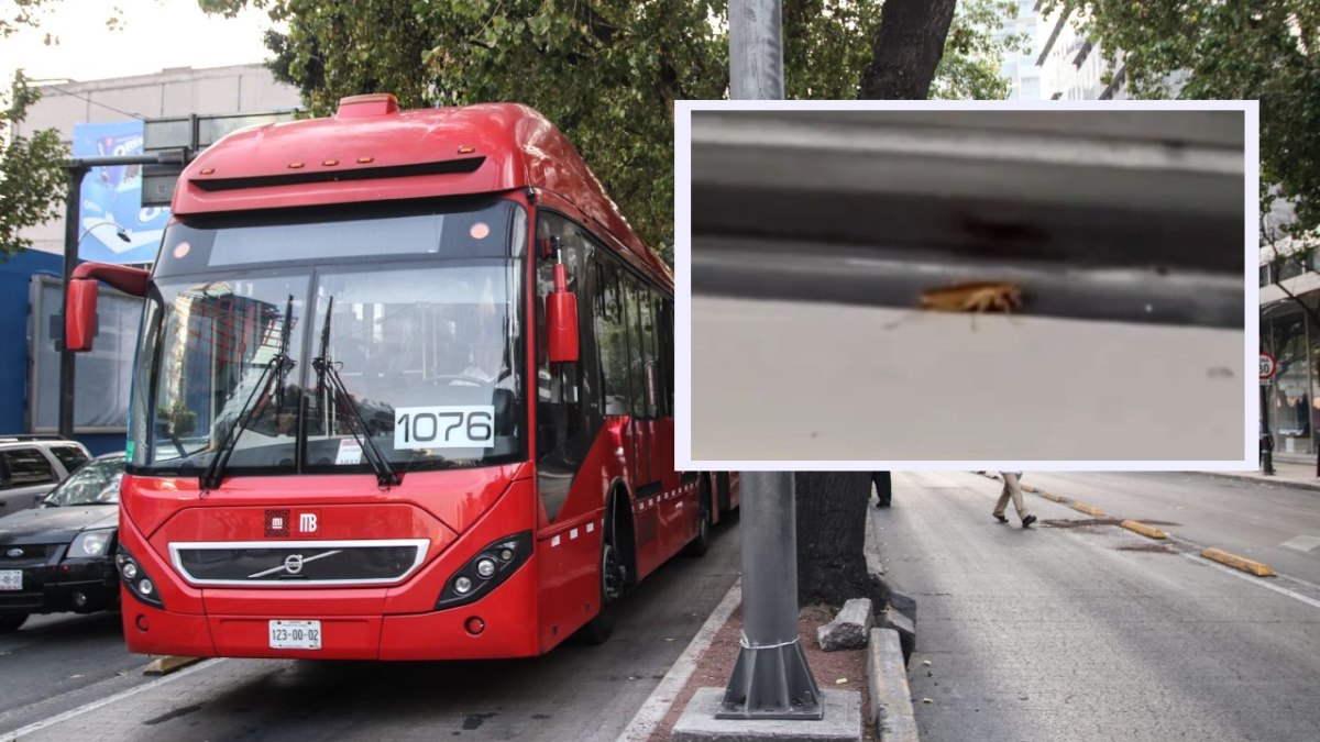 Una cucaracha fue captada en una unidad del Metrobús de la Ciudad de México y los usuarios pidieron fumigar este transporte público.