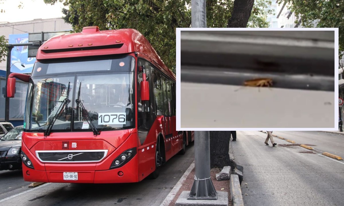 Una cucaracha fue captada en una unidad del Metrobús de la Ciudad de México y los usuarios pidieron fumigar este transporte público.