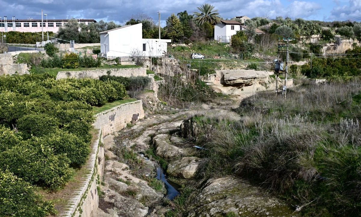 Sicilia ha destruido el 95% de sus zonas húmedas en los últimos 150 años, al secarlas para convertirlas en zonas urbanas