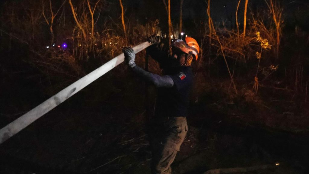 Combate. En los trabajos para apagar las llamas de los incendios en Guerrero y Oaxaca participan cuerpos de emergencia y comuneros voluntarios.