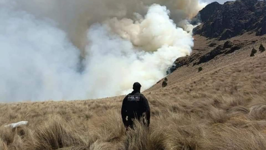 Devasta incendio mas de 400 hectáreas de bosque y pastizales en Amecameca . Noticias en tiempo real