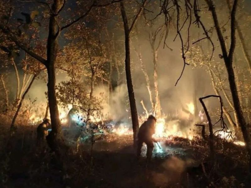 Incendios forestales crecen 61% y afectan a 18 estados