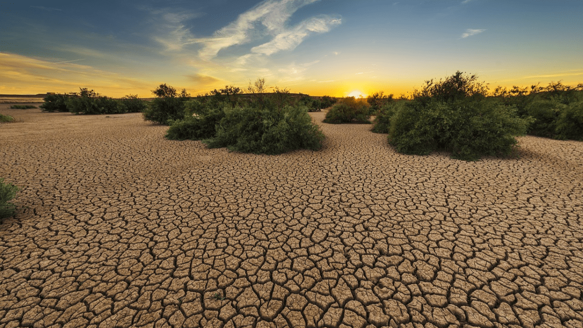 Estados con mayor sequía en México