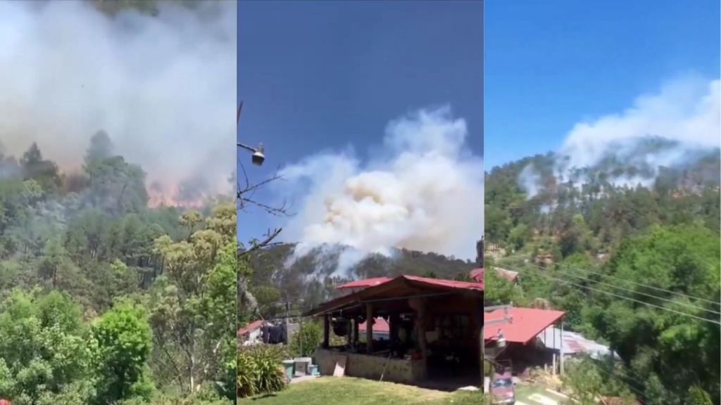 Fuerte incendio se registra en zona boscosa de Mineral del Chico