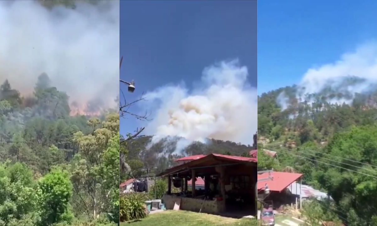 Fuerte incendio se registra en zona boscosa de Mineral del Chico