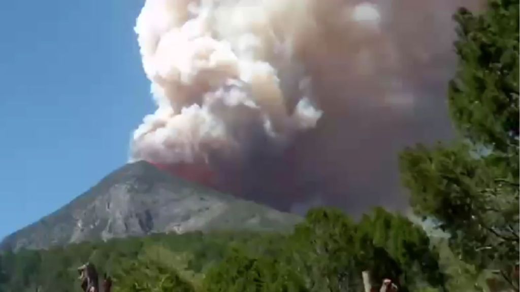 Fuerte incendio forestal en la sierra de Zaragoza moviliza a las autoridades