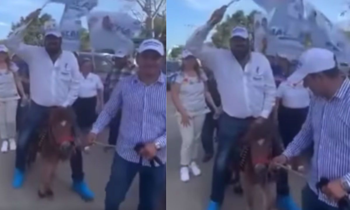 Foto:Captura de pantalla|VIDEO: Funan a candidato del PAN por montar un pony