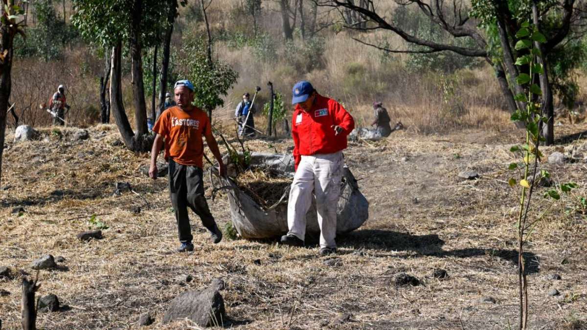Más de 250 trabajadores de la Dirección General de Servicios Públicos de Naucalpan y voluntarios limpiaron el Cerro de Moctezuma