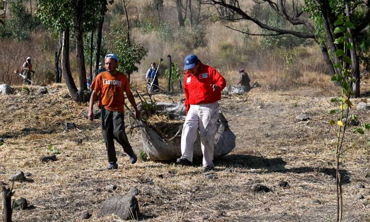 Más de 250 trabajadores de la Dirección General de Servicios Públicos de Naucalpan y voluntarios limpiaron el Cerro de Moctezuma