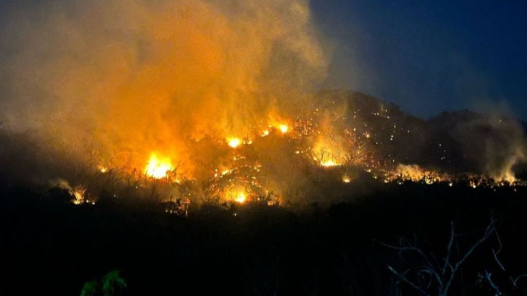 Tras incendios forestales en Acapulco y Chilpancingo se suspenden clases este jueves