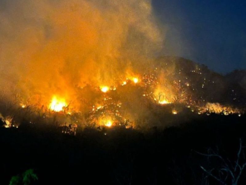 Suspenden clases en Acapulco y Chilpancingo tras incendios forestales 