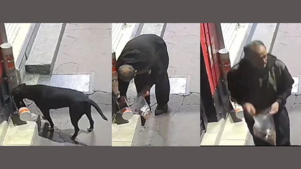 Hombre le roba las croquetas a un can en Texcoco