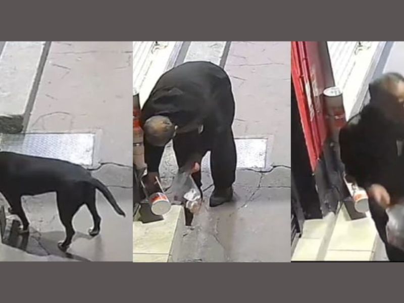 VIDEO: Captan a un hombre robar las croquetas de un perrito de la calle en Texcoco