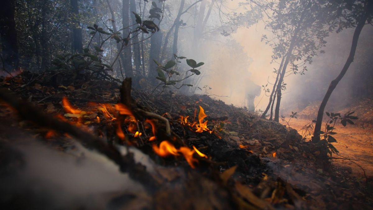 La Conafor reporta 199 incendios en 29 Áreas Naturales Protegidas, en las cuales hay 157 conflagraciones activas y 42 ya fueron liquidadas