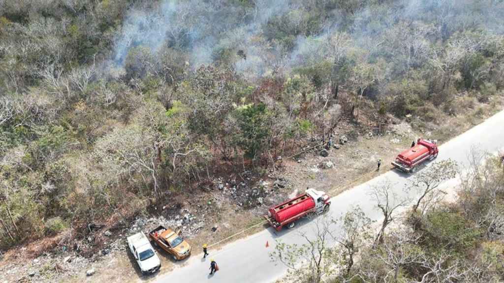Roo. Bomberos de Tulum combaten las llamas en la zona de Los Tres Cenotes, controlado ya al 60%. 