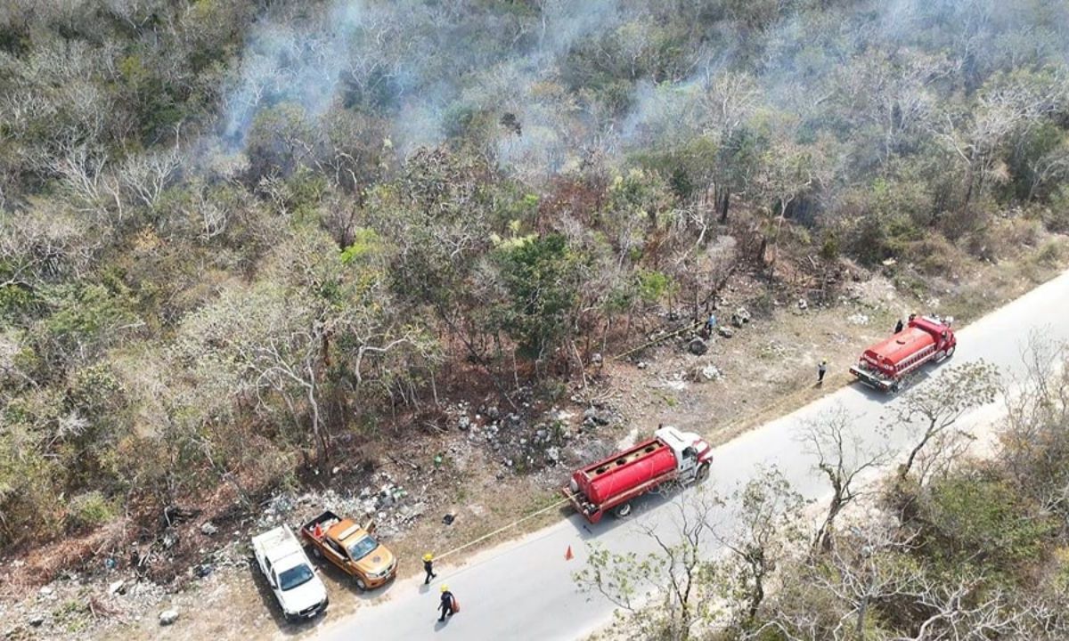 Roo. Bomberos de Tulum combaten las llamas en la zona de Los Tres Cenotes, controlado ya al 60%. 