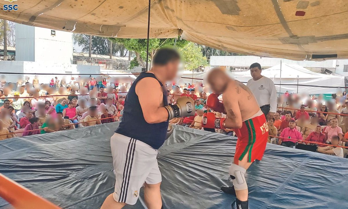 Para realizar esta exhibición de box se contó con el apoyo de un réferi de la Asociación de Box y Lucha de Ecatepec de Morelos