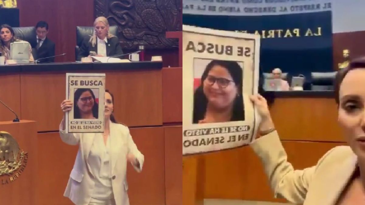 Lilly Téllez afirma que Citlalli Hernández no va a trabajar al Senado; la busca con un "cartel"