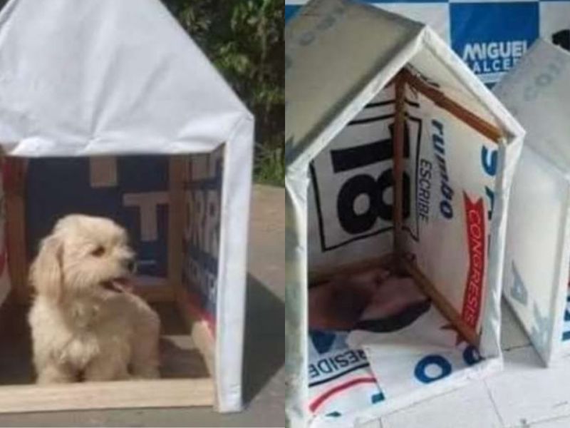 Jóvenes retiran propaganda política y construyen casas para perros