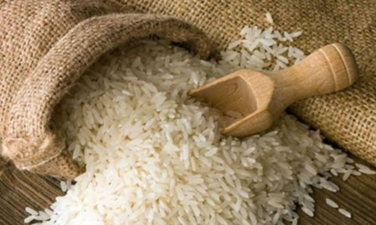 El arroz es uno de los cereales más cultivados en todo el mundo después del maíz