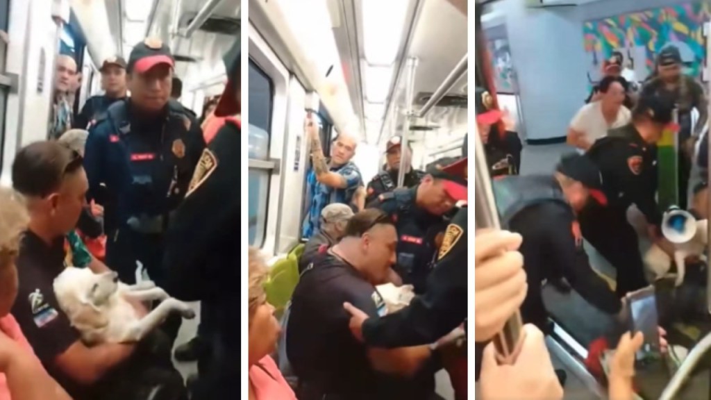 Tras viralizarse un video en el que unos policías sacaron a un hombre y su perrito de un vagón del Metro, los uniformados serán investigados