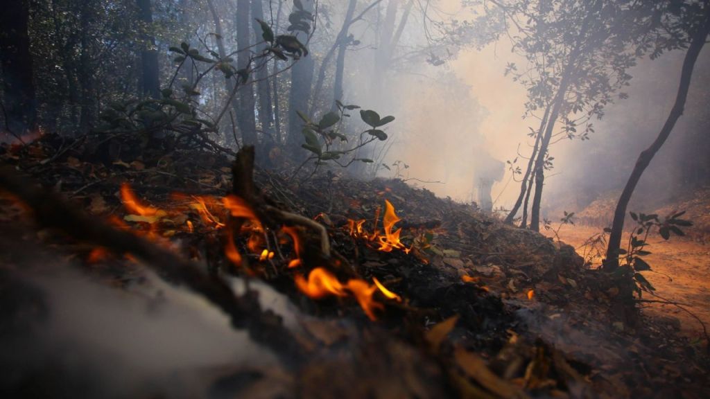 Foto:Cuartoscuro|Incendios han afectado una superficie mayor al territorio de Acapulco