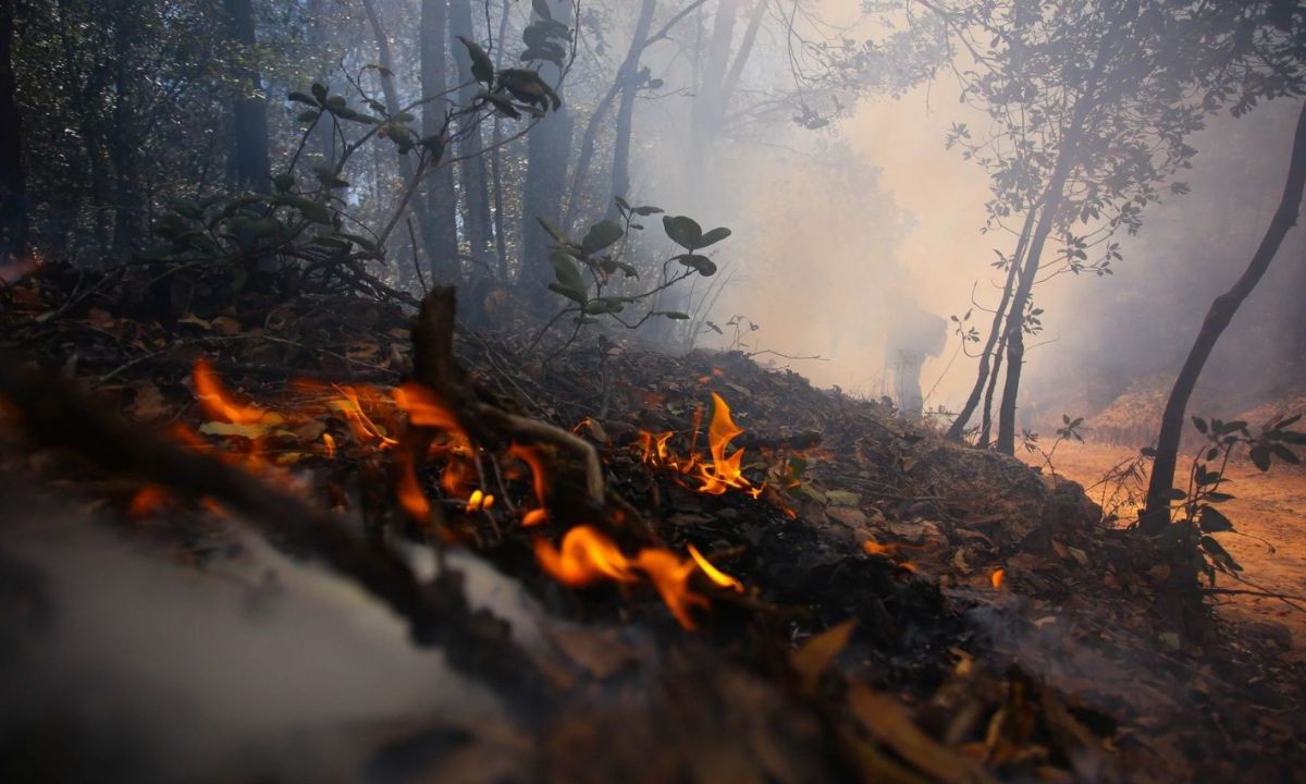 Foto:Cuartoscuro|Incendios han afectado una superficie mayor al territorio de Acapulco