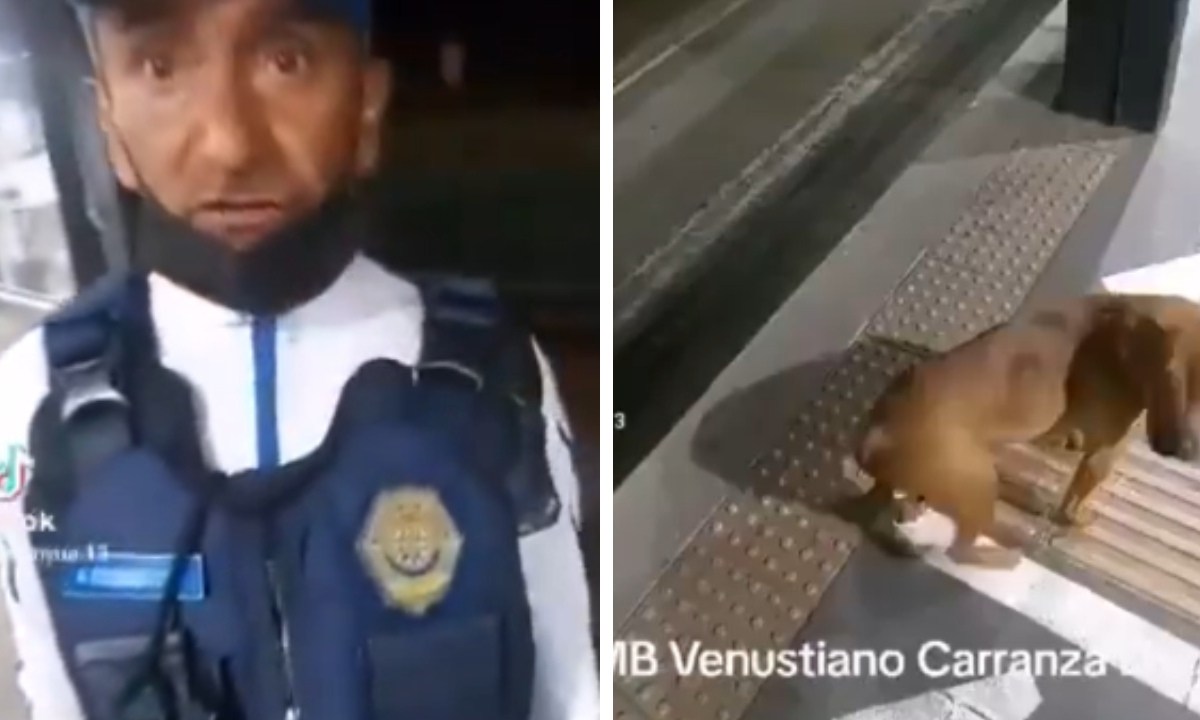 Un policía capitalino fue suspendido luego de que le pegó con un palo a un perrito, en una estación del Metrobús de la CDMX