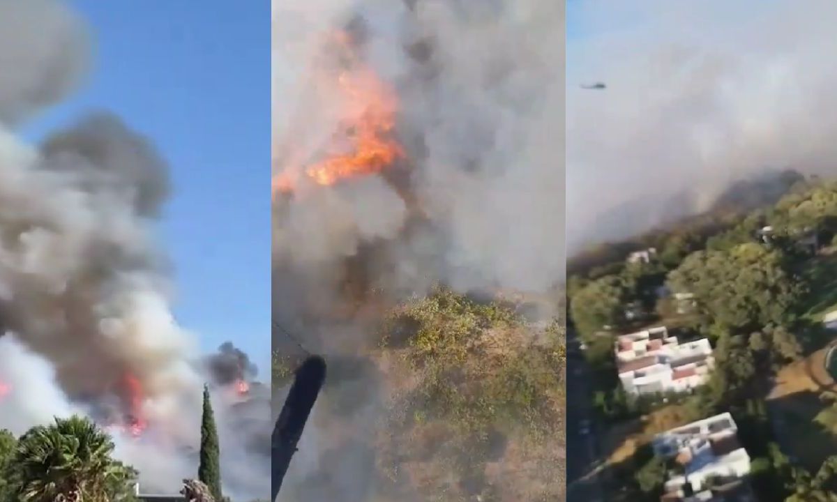 Paraje Bugambilias se incendia en Zapopan; autoridades trabajan para sofocar el siniestro forestal