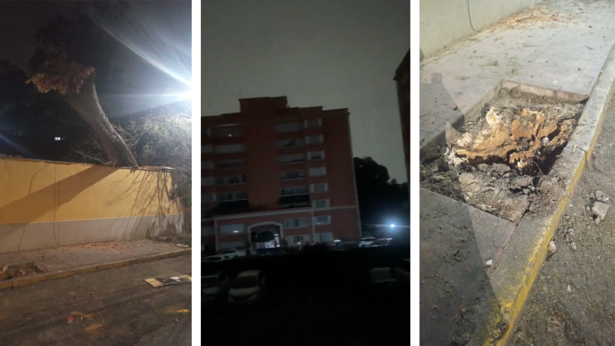 Foto: Redes sociales / Usuarios en X compartieron fotos de árboles caídos y apagones en la CDMX este sábado.